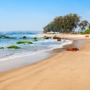 Goa Image